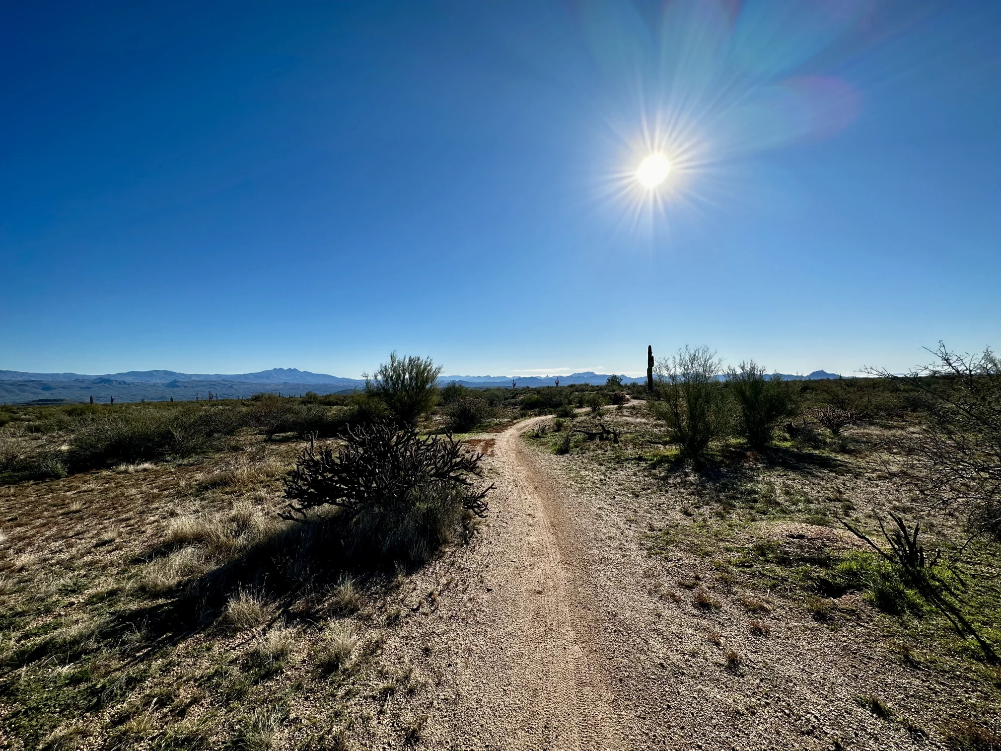 McDowell Mountain Regional State Park